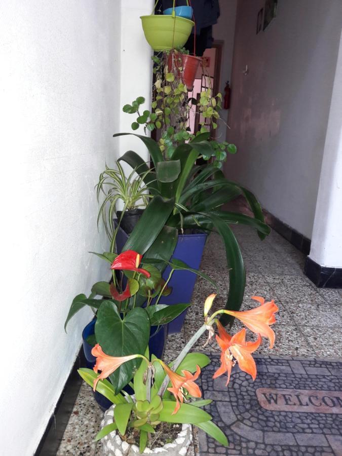 Enmicasassj-Rosario Appartement Buitenkant foto